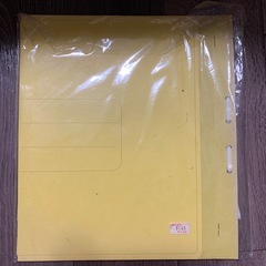 ニューフラットファイルの画像