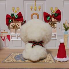 羊毛フェルト クリスマスリボンのふわふわマルチーズの画像