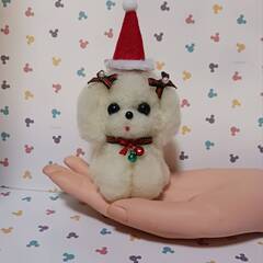 羊毛フェルト クリスマスリボンのふわふわマルチーズの画像