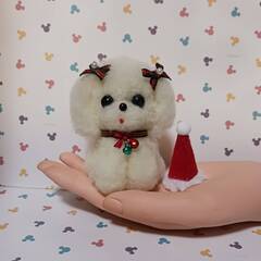 羊毛フェルト クリスマスリボンのふわふわマルチーズの画像