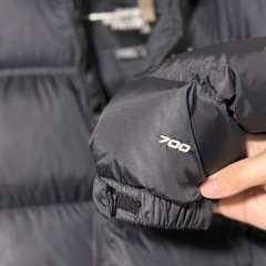 THE NORTH FACE 1996 US規格レトロヌプシ　700フィルパワーの画像