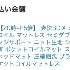 セミダブルベットフレーム➕ポケットコイルマットレス22cmセット
の画像