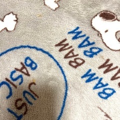 スヌーピーカーペット　約2畳分の画像