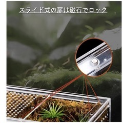 爬虫類 ケージ シェルター アクリル製 トカゲ 蛇 サソリ 飼育 ボックス (20x15x10cm)の画像
