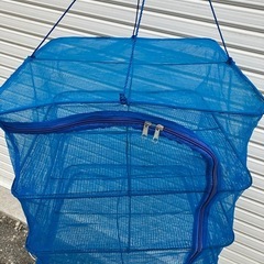 干物　ネットの画像