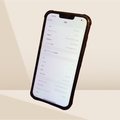 【極美品】iPhone 13promax 256GB バッテリー100%の画像
