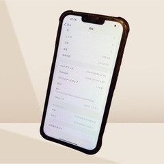 【極美品】iPhone 13promax 256GB バッテリー100%の画像