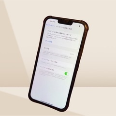 【極美品】iPhone 13promax 256GB バッテリー100%の画像