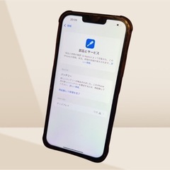 【極美品】iPhone 13promax 256GB バッテリー100%の画像