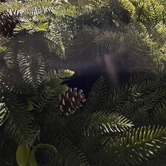 IKEA VINTERFINT ヴィンテルフィント 造花のリース, 室内/屋外用/松ぼっくり グリーン, 60 cmの画像