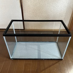 60cm 水槽　GEXの画像