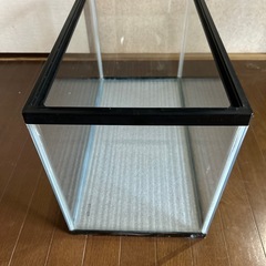 60cm 水槽　GEXの画像