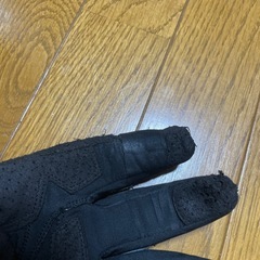 Hyodウインターグローブの画像