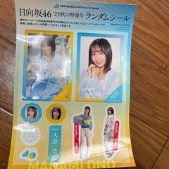 大野愛美シールの画像
