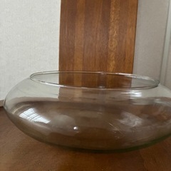 🌹直径27㎝大きなガラス鉢　花器　ビオトープ　テラリウム　花器　メダカ飼育など用途多数🌹　　の画像