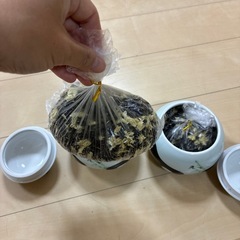 中国でいただいたパンダの入れ物＆ジャスミンティーの画像
