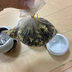 中国でいただいたパンダの入れ物＆ジャスミンティーの画像