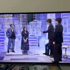 panasonic VIERA 43型 （ジャンク）の画像