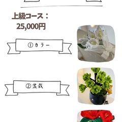 モール教室のご案内です🥰の画像