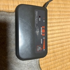 電気ホットカーペットの画像