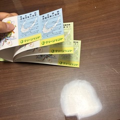 グリーンランド株主優待の画像