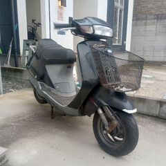 ホンダリード90不動の画像
