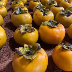 【取引中】柿 甘柿 20個 果物 食品の画像