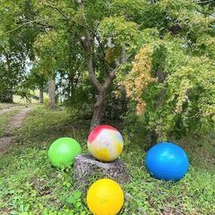 バランスボール教室の画像