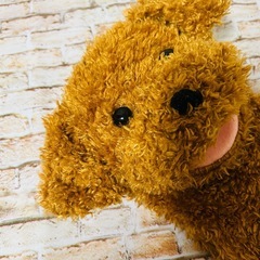 わんちゃんのパペット人形　歌うパペット　犬　トイプードル　あかちゃんおもちゃの画像