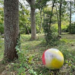 バランスボール教室の画像