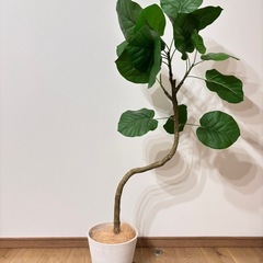 フェイクグリーン　ウンベラータ　大型の画像