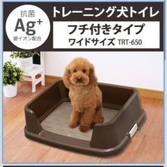 犬用 トイレ ワイドサイズの画像
