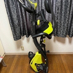 アルインコ　コンフォートバイク　取説付の画像