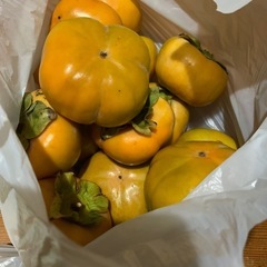 甘〜い柿2キロ (13個から15個入)の画像