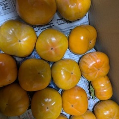甘〜い柿2キロ (13個から15個入)の画像
