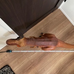 巨大　テイラノサウルス‼️
の画像