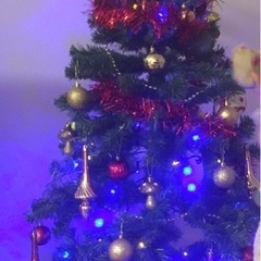 フランフラン　クリスマスツリー　　　の画像