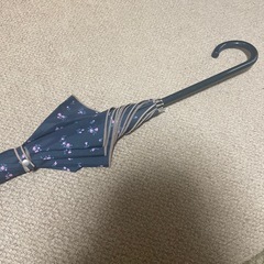 傘各種の画像