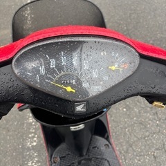 HONDA dio af62の画像