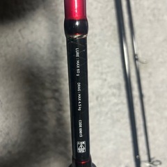 サーモンロッドとリールの画像