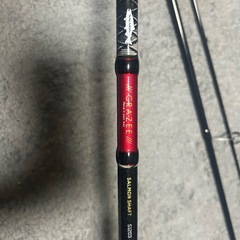 サーモンロッドとリールの画像