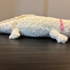 ウーパールーパー ぬいぐるみの画像