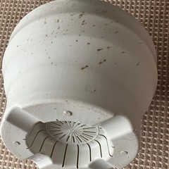 プラスチック鉢の画像
