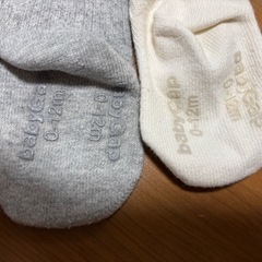 baby gap くまさんタイツ　2枚セットの画像