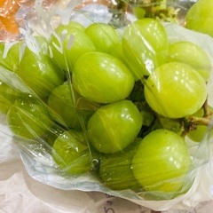 クロス@岐阜市（夏はエアコン有り）