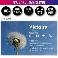 名刺印刷 100枚 両面 フルカラー 紙ケース付 No.2…