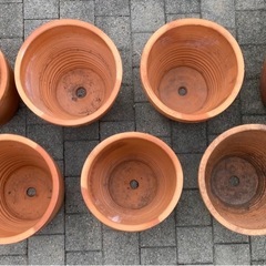 【受け渡し決定】テラコッタ鉢　中　（1〜7個）  の画像