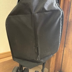 Kinderwagon DUOシティHOPⅡの画像