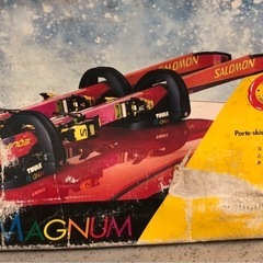 ❄⛷️🚗スキー板専用マグネットの画像