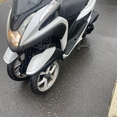トリシティ125トライク普通免許の画像